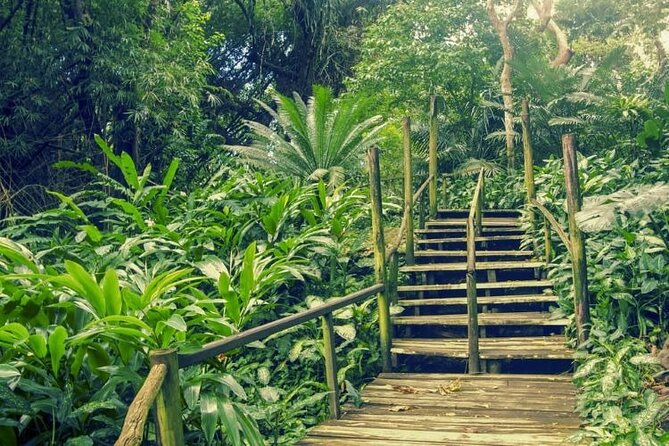 Fiji Lautoka Shore Excursions Tour - Who should book this tour