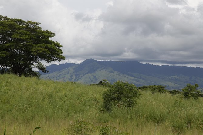 Fiji Local Village, Market, Temple & Garden of Sleeping Giant with Mud Pool Tour - Key points to know before booking