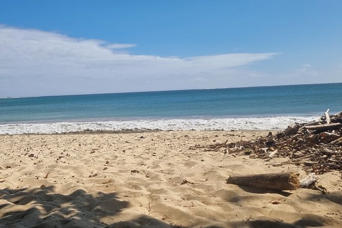 Fiji Local Village, Market, Temple & Garden of Sleeping Giant with Mud Pool Tour - Sabeto Hot Springs and Mud Pool