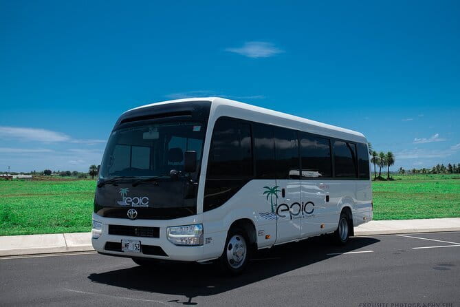 Fiji Marriott Resort Momi Bay To Nadi Airport or Denarau (Departure Transfer) - Is $29.40 per person good value?