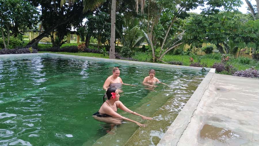 FIJI-NADI: Sabeto Tifajek Hot Spring and Mudpool Tour - At a Glance: What Makes This Visit Worth Considering