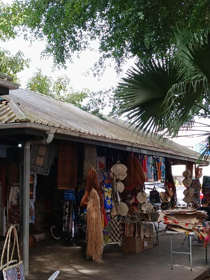 Fiji: Nadi Tour with Tifajek Mudpool and Hotspring Visit - Tifajek Mudpool and Hotspring: the main event