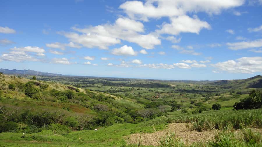 Fiji: Navala Village Cultural Tour & Traditional Lunch - Who Will Enjoy Navala Most