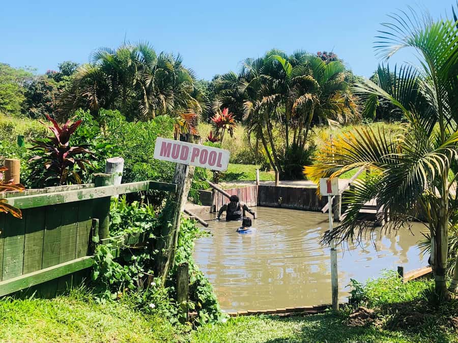 FIJI: Sabeto Hotspring & Mudpool Tours, Tickets & Transfers - The first hot spring site is the correct one