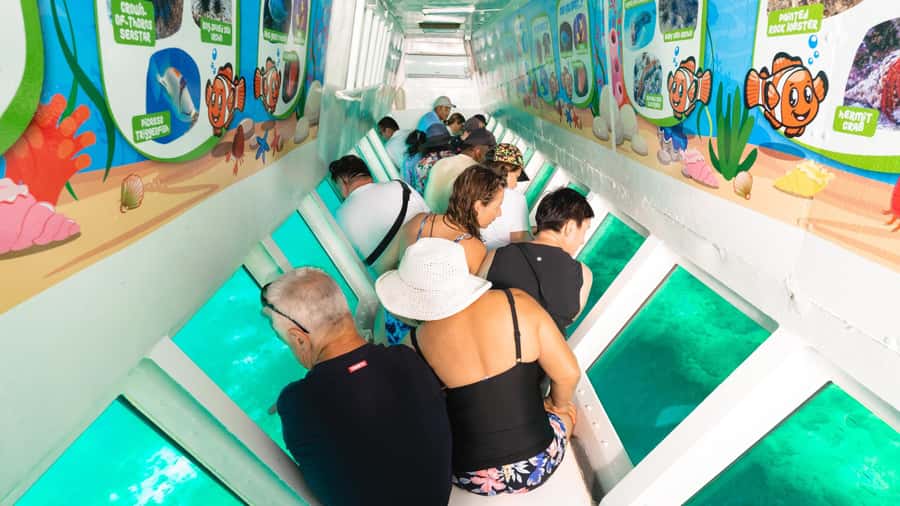 Fiji: South Sea Island Half-Day Trip with Lunch - The semi-submersible coral viewer