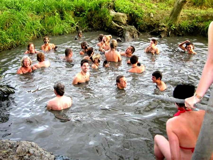 Fiji: Tifajek Mud Pool & Hotspring Tours & Tickets - What the Tifajek experience is really like