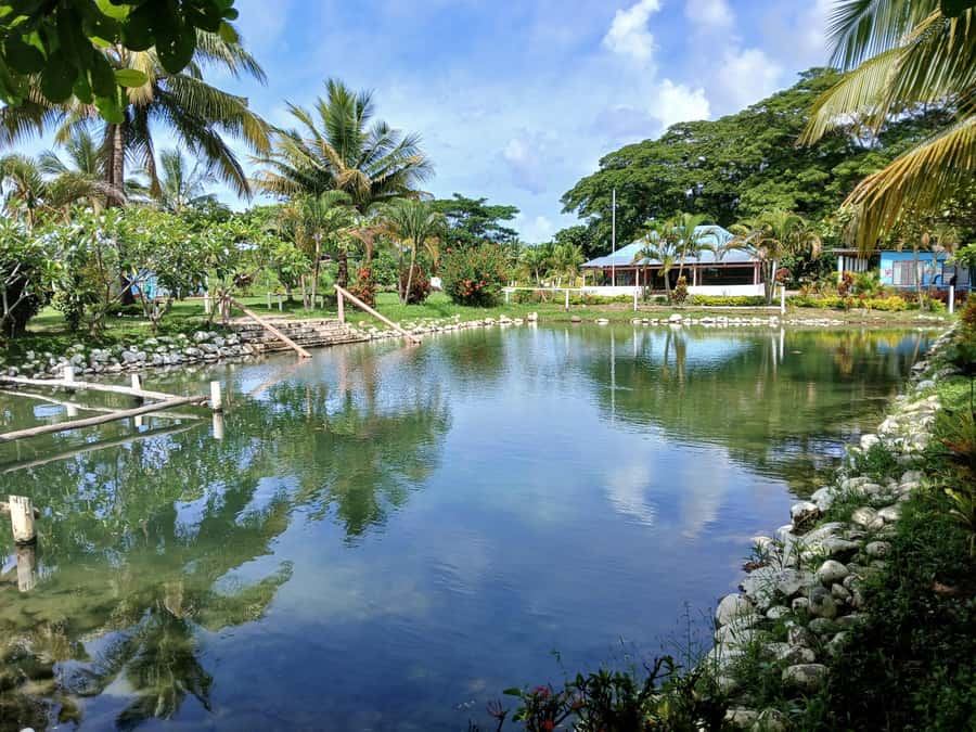 Fiji: Tifajek Mud Pool & Hotspring Tours & Tickets - The two hot spring pools
