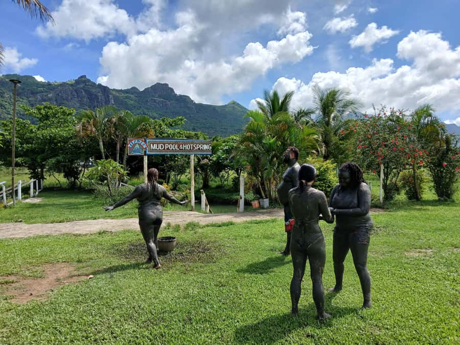 Fiji: Tifajek Mud Pool & Hotspring Tours & Tickets - The guide, local context, and photos
