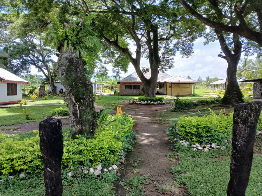 Fiji: Tifajek Mud Pool & Hotspring Tours & Tickets - Optional Fijian massage