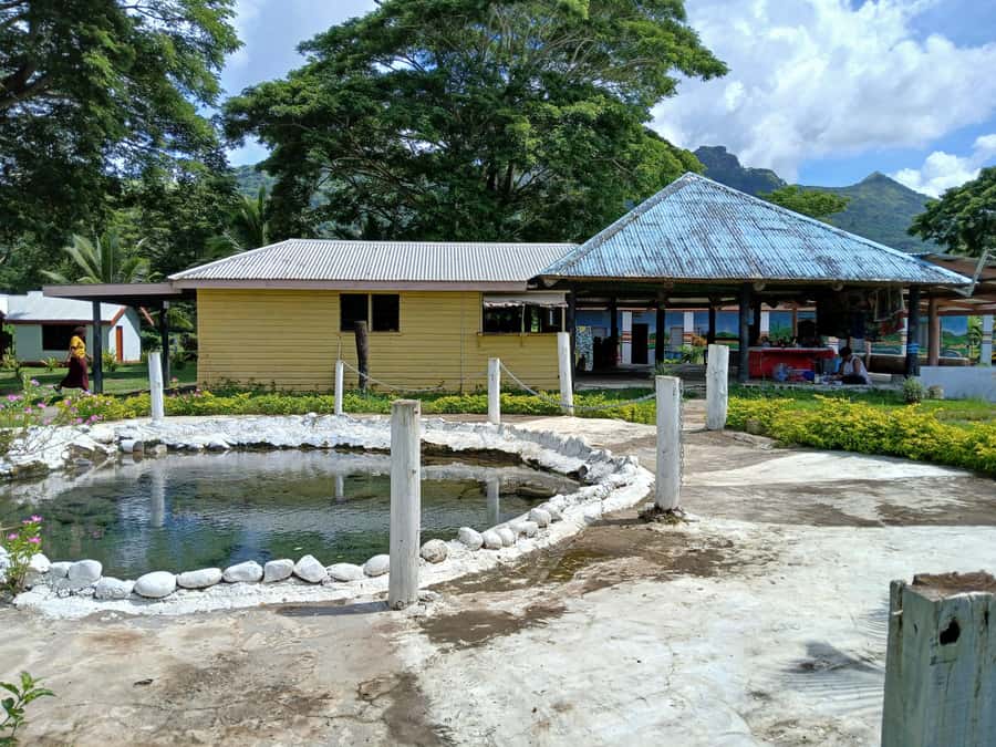 Fiji: Tifajek Mud Pool & Hotspring Tours & Tickets - Pickup choices and timing concerns