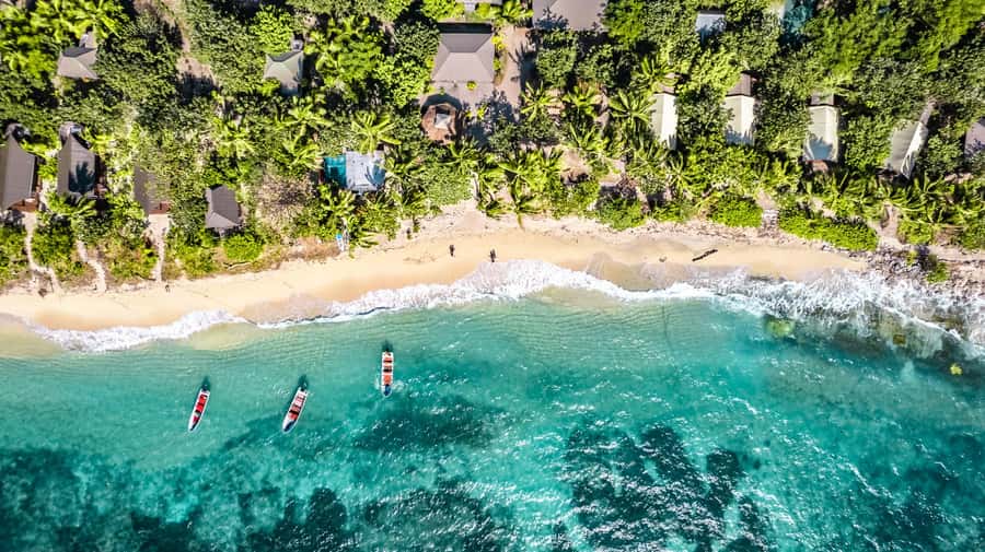 Fiji: Ultimate Encounters Snorkel with Sharks and Lunch - The Early Run to Port Denarau
