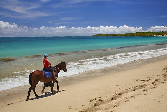 Fijian pottery crafting Village Experience & Natadola Beach Tour - Who will enjoy this outing most