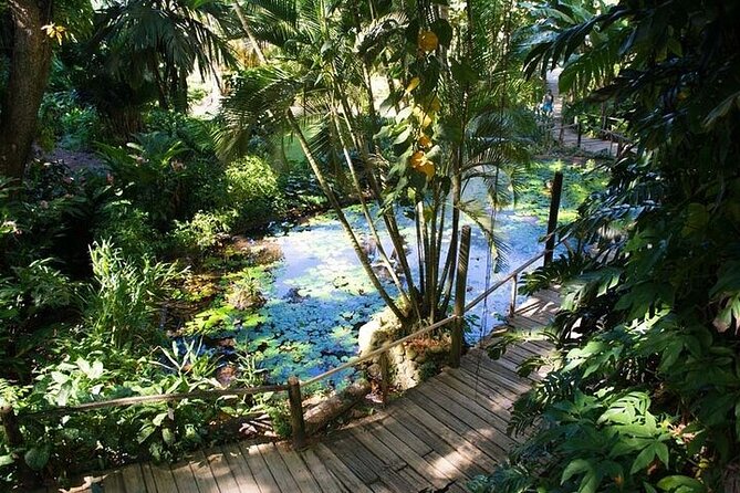 Full Day Discover Nadi Tour ( From Sigatoka Coral coast Hotels ) - What the $103.48 price includes