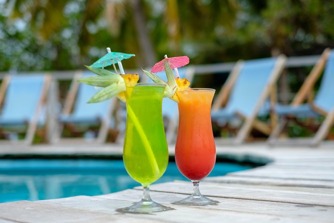 Full Day South Sea Island with Lunch & Drinks - Should you book this Fiji island day?