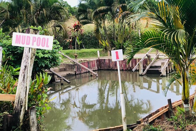 Garden Of Sleeping Giant ,Mudpool &Temple Tour From Coral Coast - Getting muddy at Sabeto Hot Springs