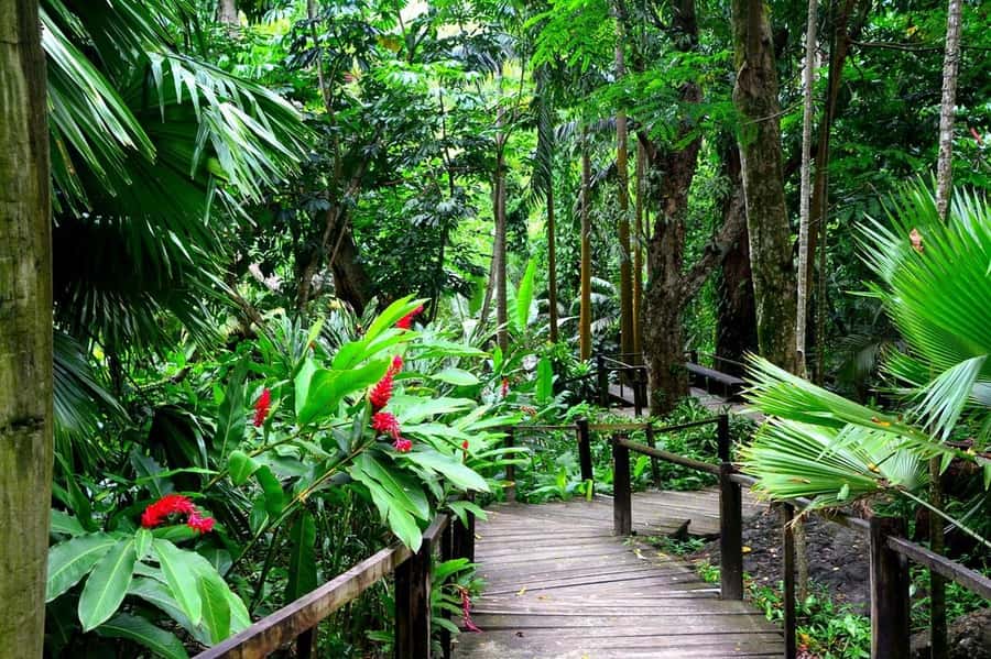 Garden of Sleeping Giant with Sabeto Hotspring Mudpool Tour - Should You Add the Fijian Massage?