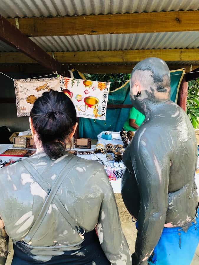 Garden of Sleeping Giant with Sabeto Hotspring Mudpool Tour - What the $47 Price Really Covers