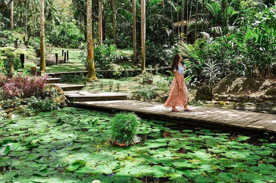Garden of Sleeping Giant with Tifajek Mudpool Hotspring Tour - Key points at a glance