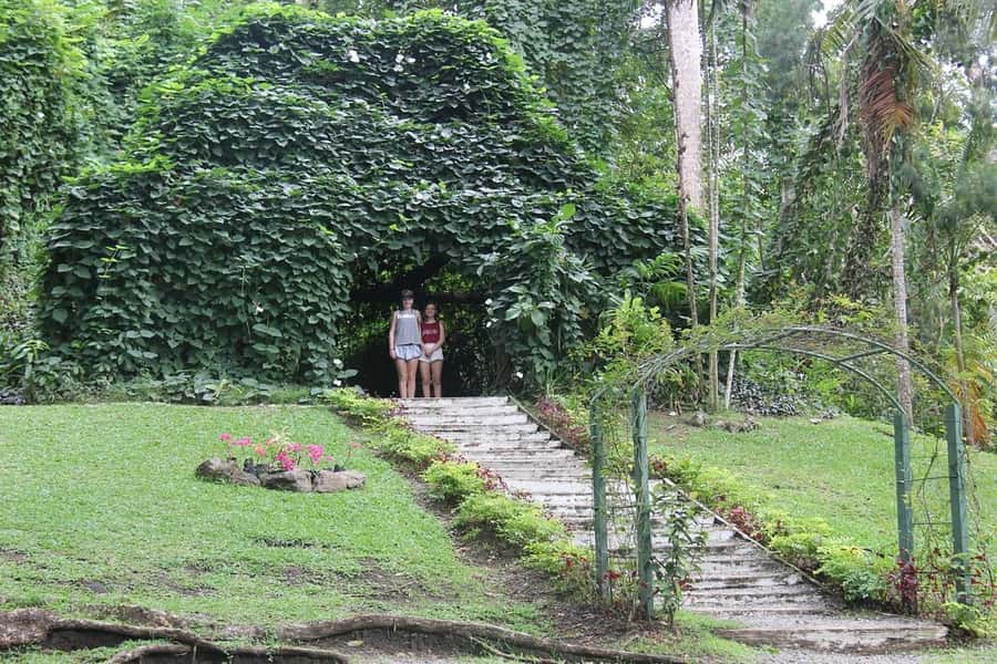 Garden of Sleeping Giant with Tifajek Mudpool Hotspring Tour - The real timing issue is the shared transfer