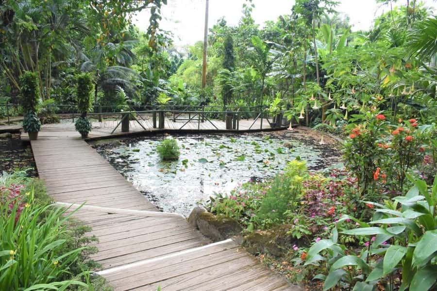 Garden of Sleeping Giant with Tifajek Mudpool Hotspring Tour - What the $65 price really covers