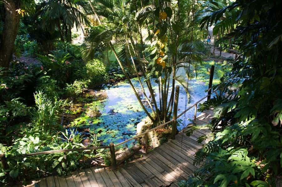 Garden of Sleeping Giant with Tifajek Mudpool Hotspring Tour - Who will enjoy this half-day most