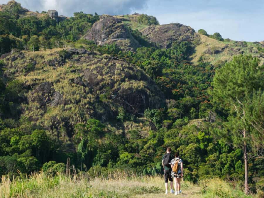 Garden of Sleeping Giant with Tifajek Mudpool Hotspring Tour - The Garden of the Sleeping Giant in about one hour