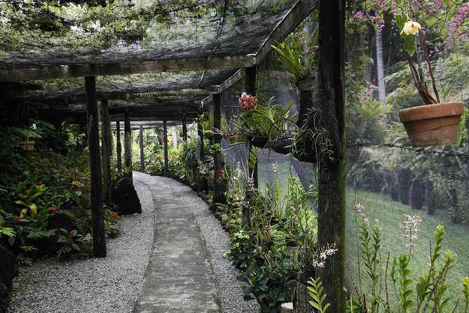 garden of the sleeping giant and mudpool tour combo - The Garden of the Sleeping Giant
