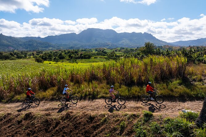 Guided E-bike Tour - Sugarcane fields, mango trees, and local stories
