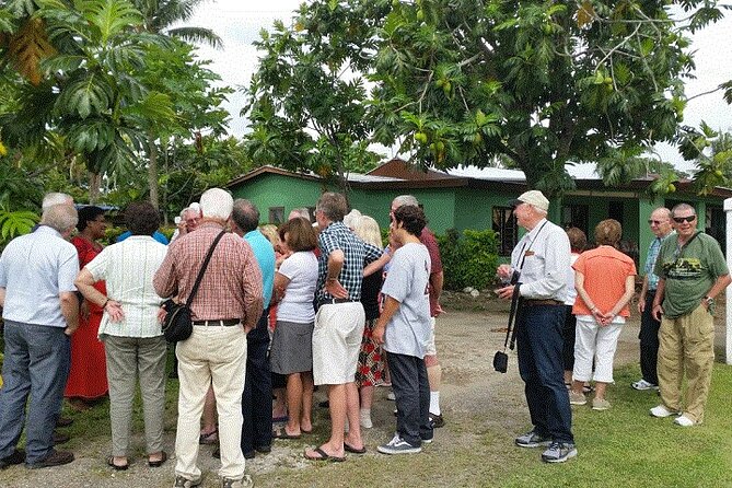 Half Day Mudpools, Veseisei Fijian Village, Gardens of Sleeping Giants &Shopping - A half-day route with a distinctly local feel