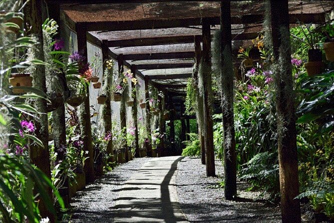 Half Day Mudpools, Veseisei Fijian Village, Gardens of Sleeping Giants &Shopping - Who will enjoy this Fiji tour most