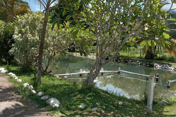 Half Day Nadi Tour Temple, Market, Gardens and Mud Pools - Getting muddy at Sabeto Hot Springs and Mud Pool