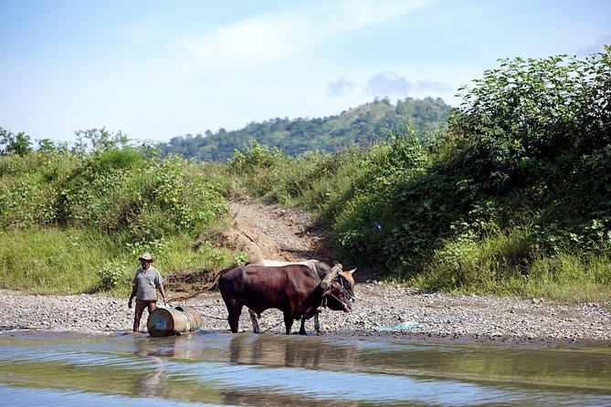 Half Day Sigatoka River Jetboat & Village Tour with Lunch & Transfers - Is $163.54 a fair price?