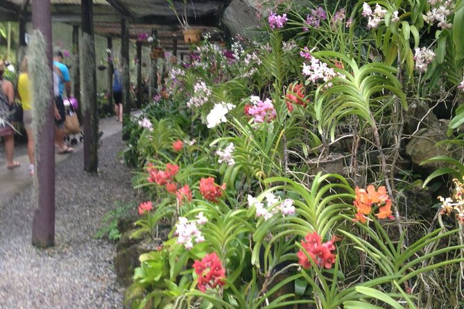 Half Day Sightseeing - Wonders of Nadi Tour - Guides make the difference
