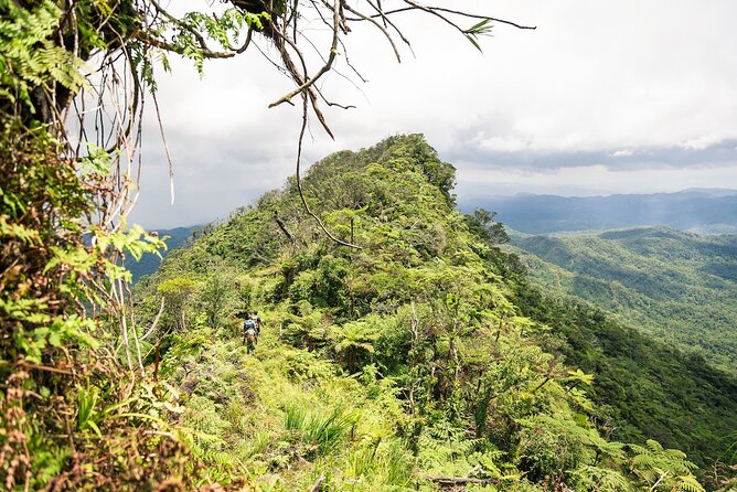 Hiking Adventure including Fiji's Highest Mountain and 3 Nights - Key points to know before you book