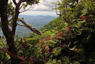 Hiking Adventure including Fiji’s Highest Mountain and 3 Nights