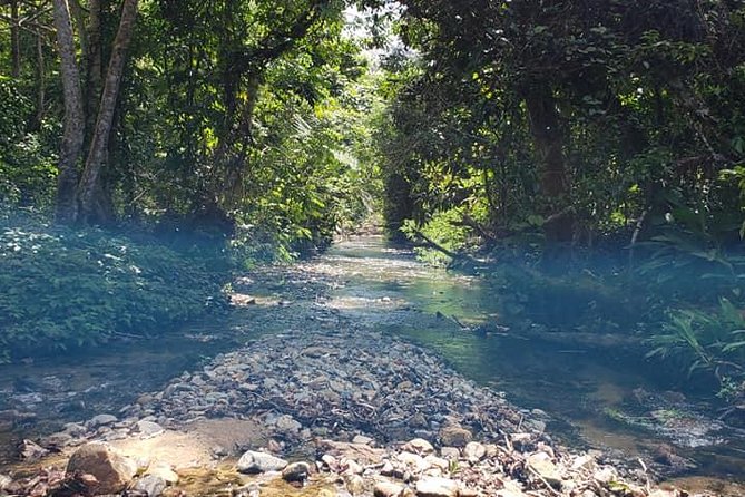 iconic waterfall tour - Sigatoka town for a change of pace