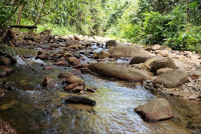 iconic waterfall tour - Who will get the most from this tour