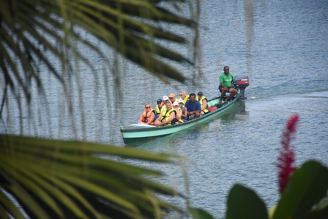 Jewel Of Fiji Day Tour from The Marriot & Shangri-La Resort - Swimming at Navua River’s biggest waterfall