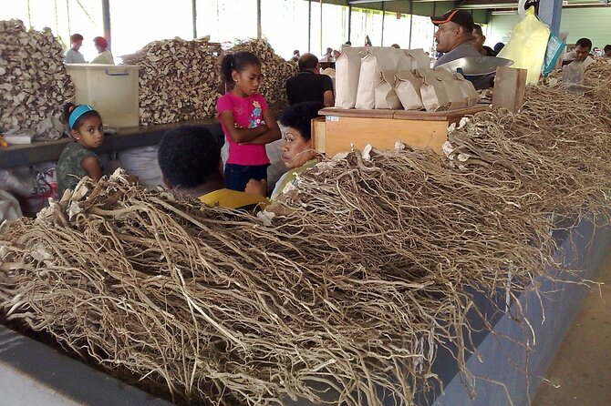 Kava Factory Tour and Flavored Kava Tasting Experience - Why kava matters in Fiji