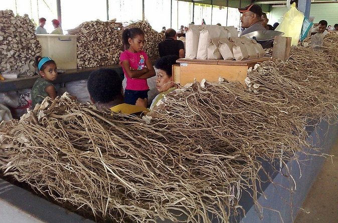Kava Factory Tour and Flavored Kava Tasting Experience - Who will enjoy this kava experience?