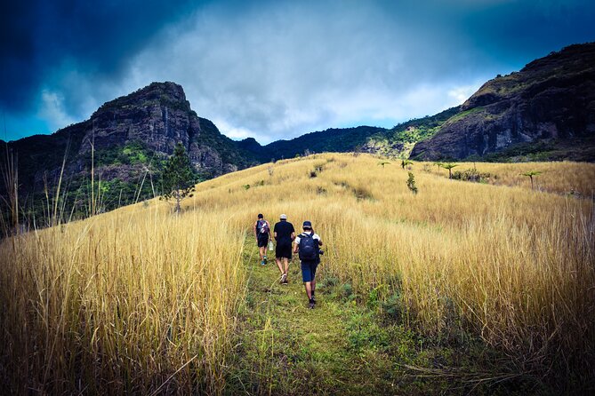 Koroyanitu National Heritage Park Fiji - Hike - Waterfall - Choosing the right trail in Koroyanitu
