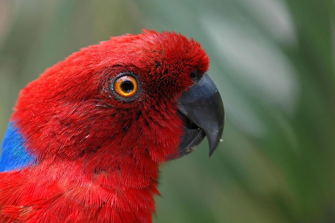 Kula Eco Park Admission - What Kula WILD Adventure Park is really like