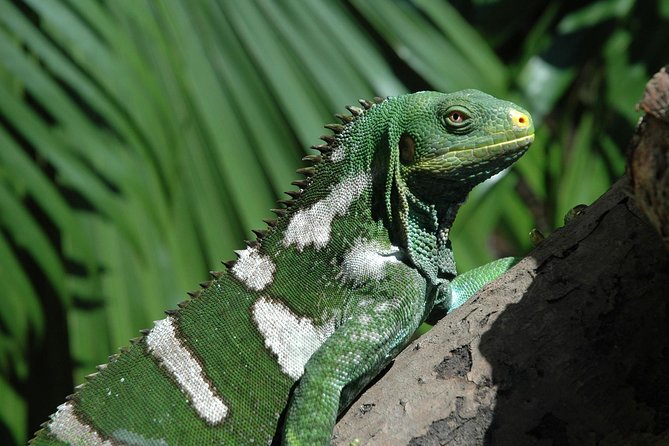 Kula Eco Park Admission - Start with the Land & Sea building