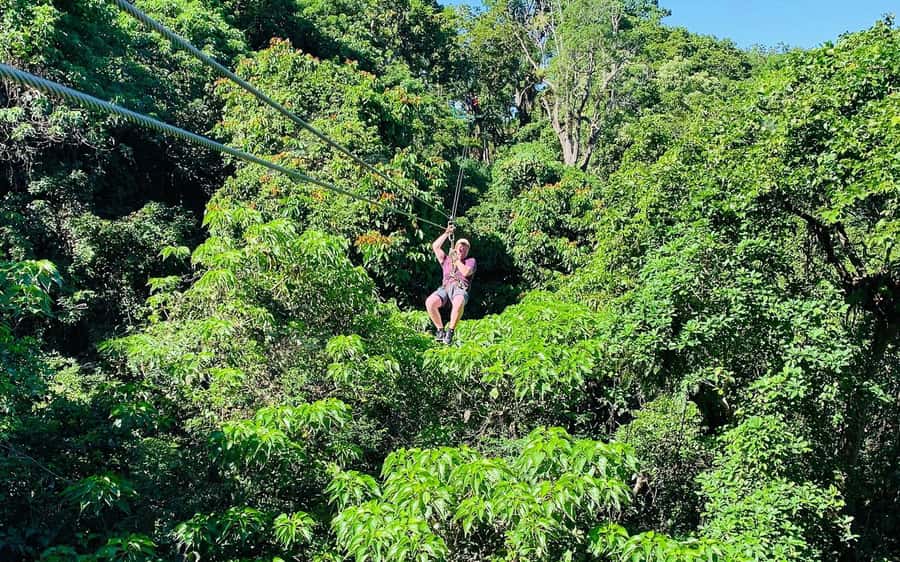 Largest Zipline & Cave Exploration from sigatoka coral coast - The limestone cave is a worthwhile extra, with limits