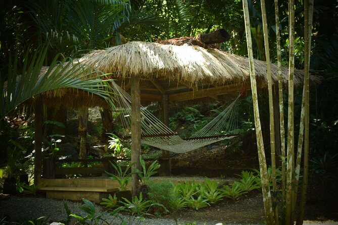 Mud Pools, Gardens, Markets, Temple & Shopping-Nadi Tour half day - Why this half-day route works in Fiji