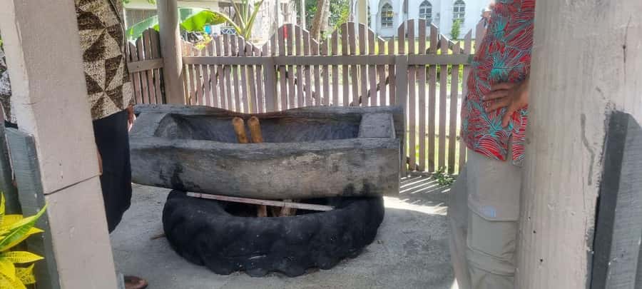 Nadi: Garden Village Hot Spring & Temple Highlights Tour - Sabeto Hot Springs and the famous mud bath