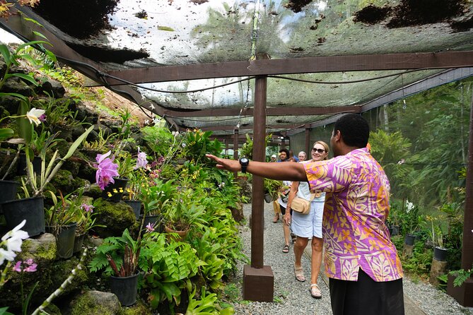 Nadi Heritage Tour - Viseisei village: a link to Fiji’s first settlers