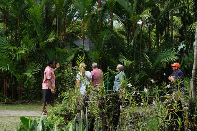 Nadi Heritage Tour - The mud-pool question needs a clear answer