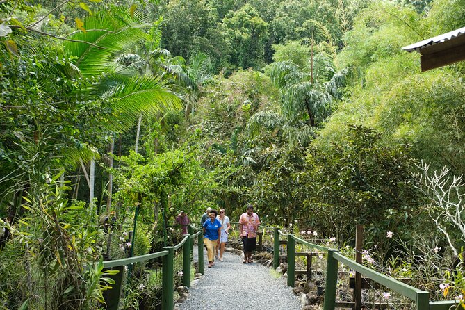 Nadi Heritage Tour - What the $86 price really covers