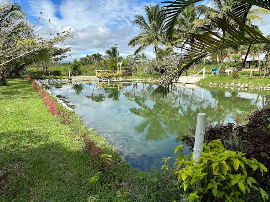 Nadi: Mud Pool and Hot Spring Private Tour - The 30-minute ride from Nadi